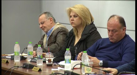 Δημοτικό Συμβούλιο Χαλκιδέων για Αυλίδα