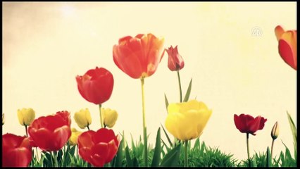 Bakan Kurtulmuş - Kültür Sanat Özel Ödülleri Töreni - ANKARA