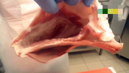 ضلعة الخاروف محشية بالارز الشرقي والمكسرات