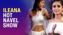 Ileana Navel Show