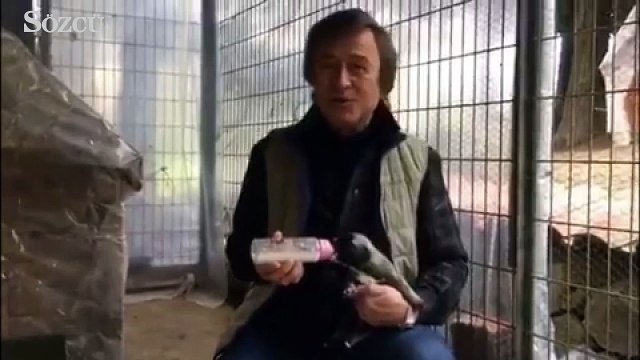 Erol evgin cinsel istismara gönderme yaptı