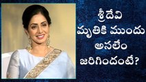 Sridevi Passes Away : శ్రీదేవి నీటిలో మునిగి? అంతా ఆ 30 నిమిషాల్లోనే.. ?