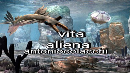 vita aliena
