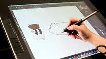Comment dessiner Polaire ? WBB | Imagination Studios | Cartoon Network