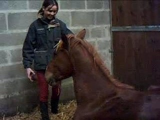 Qualine qui fait dodo et qui veut pas se relever