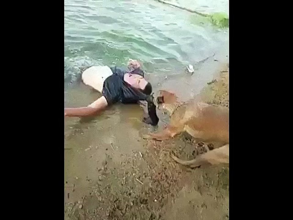 سبحان الله الذي جعل الوفاء من سمّة هذا الكائن الذي خلقه الله وسخره لناA dog saves its owner