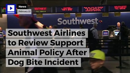 Southwest Airlines to Review Support Animal Policy After Dog Bite Incident