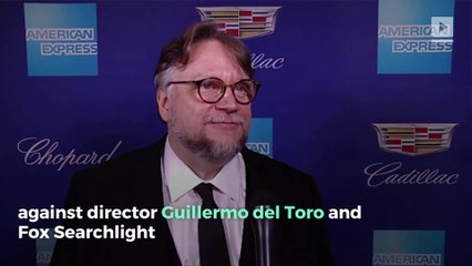 The Shape of Water Sued for Alleged Copyright Infringement