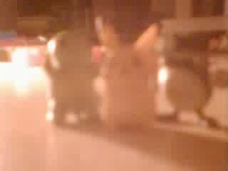 Pokémon donjon mistere