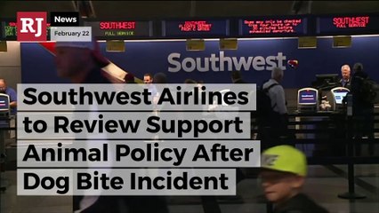 Southwest Airlines to Review Support Animal Policy After Dog Bite Incident