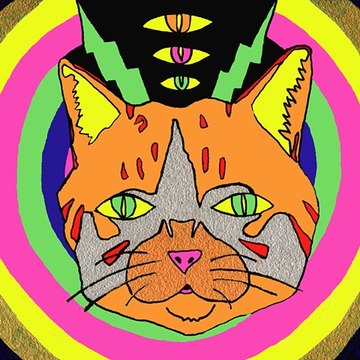 Trippy Psychedelic Tribal Type Rap Hip-Hop Beat Instrumental || Cat Eyes