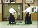 Lecciones de Aikido