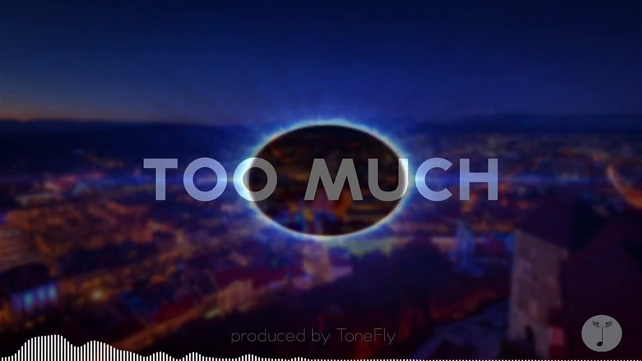 ToneFly - Too Much Hip-Hop-R&B-Rap Instrumental