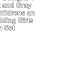 Sweet Jojo Designs 4Piece Pink and Gray Chevron Childrens and Kids Bedding Girls Twin Set