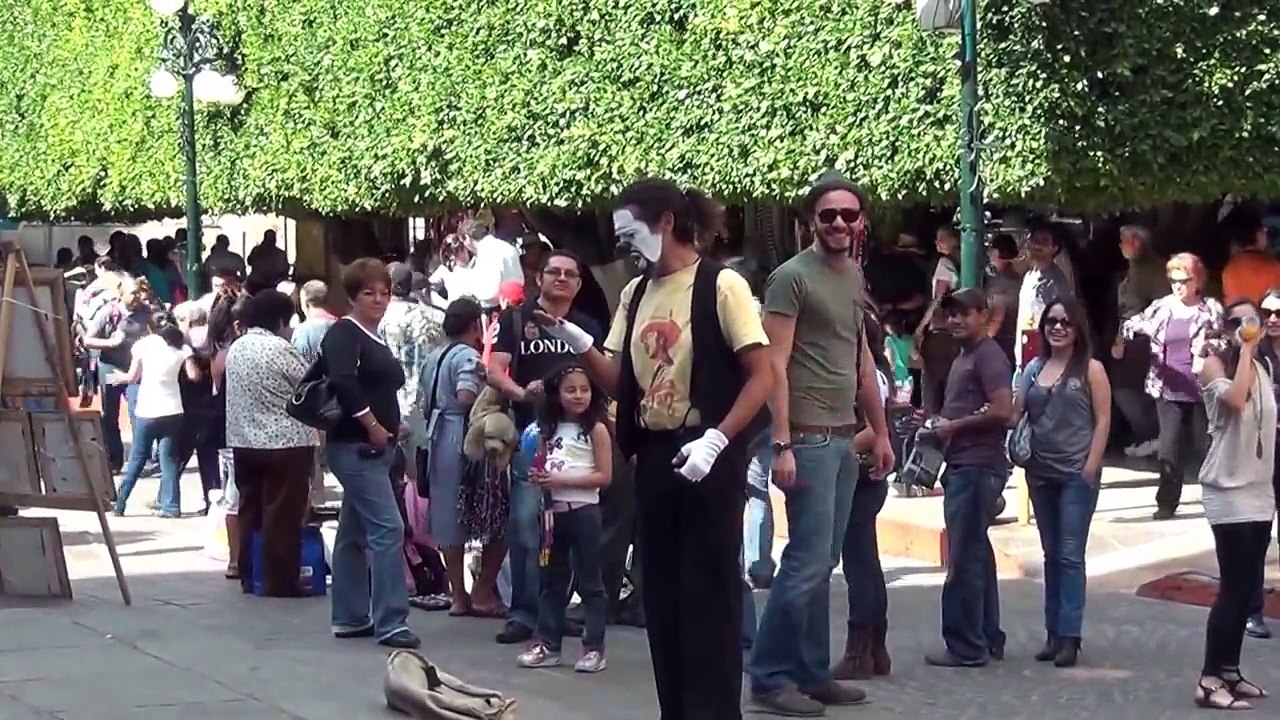 mimo-en-guanajuato