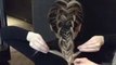 How-To: Twisted Edge Fishtail Braid hair tutorial
