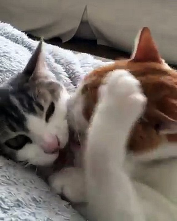 Chị em khó ở, nhưng bạn trai vẫn muốn yêu thương :3 !!!