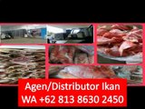 PROMO!! WA  62 813 8630 2450 Tetelan Ikan Tuna di Jakarta