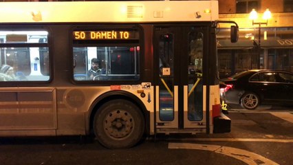 One Night Stand in Chicago 🌆