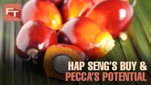 FRIDAY TAKEAWAY: Hap Seng’s buy & Pecca’s potential