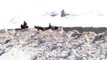 Fas'ta Yoğun Kar Yağışı Köy Yollarını Kapattı - Azilal