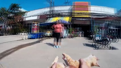 Man Tries To Save Cat Hit By Car  *Warning: Might Upset Some* || ViralHog