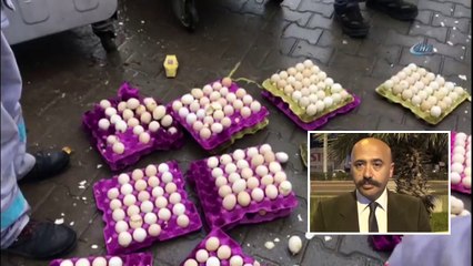 Çöpe Atılan Yumurtalardan Civciv Çıktı