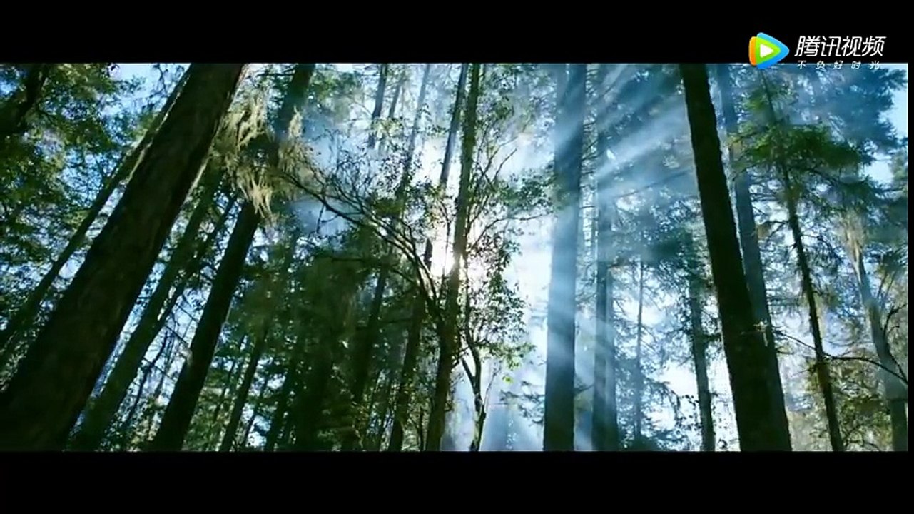 The_Wolf_Chinese_Drama_Trailer video Dailymotion