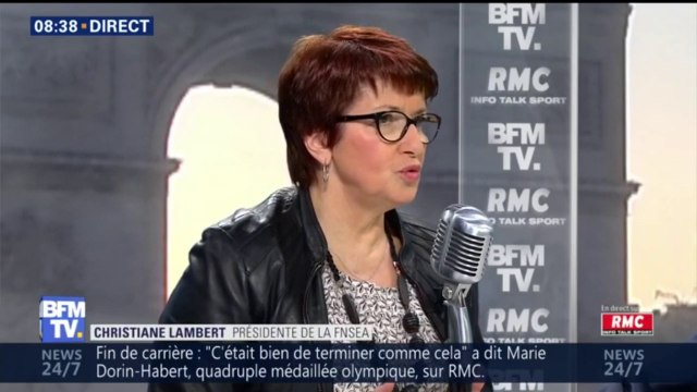 “Emmanuel Macron sera accueilli poliment, mais de façon très directe” au Salon de l’Agriculture, dit Christiane Lambert (FNSEA)