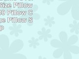 CafePress  Game Over  Standard Size Pillow Case 20x30 Pillow Cover Unique Pillow Slip