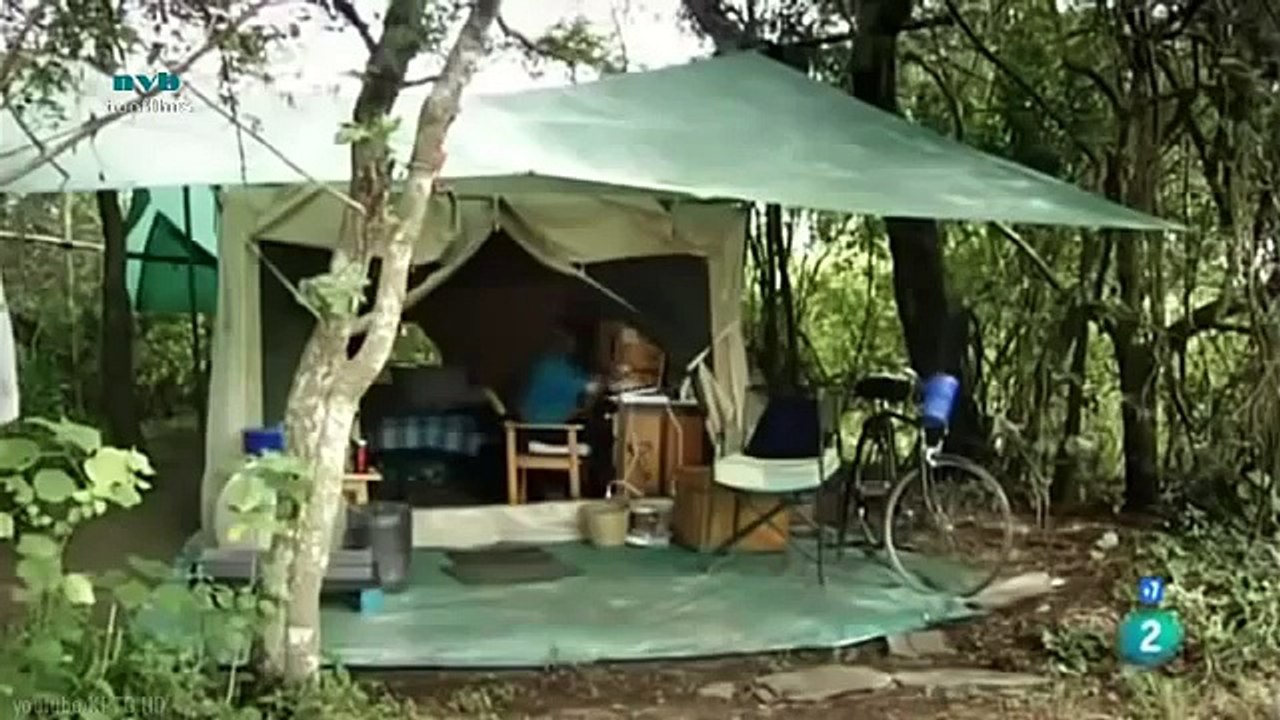 Linh Cẩu  - Những gã găng tơ vùng đồng cỏ - Thiên nhiên hoang dã full HD Thuyết minh