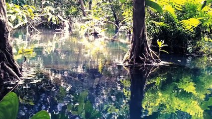 15 min Relax Music for deep relaxation, positive energy |165