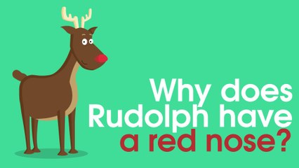 Why Does Rudolph Have A Red Nose?