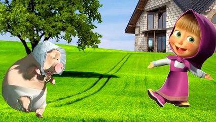 Angry Birds , cartoon Masha and the Bear online