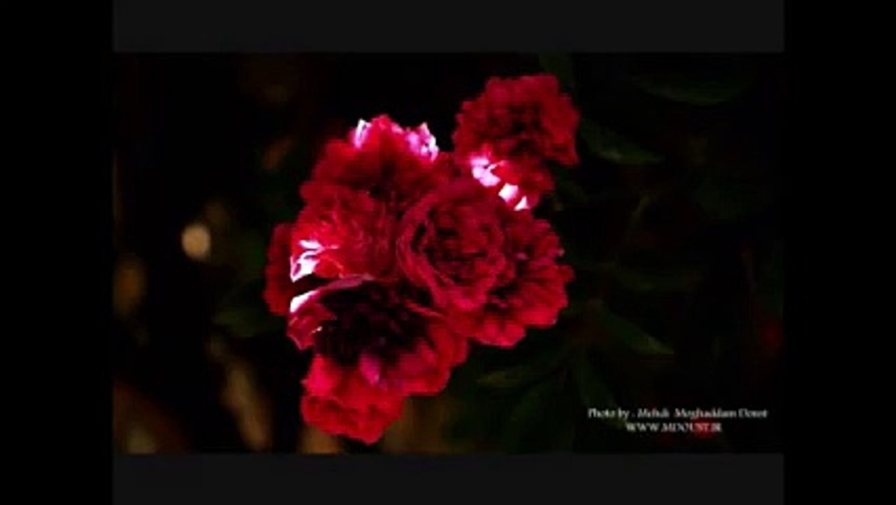 Rasme zamana Rasoole  Najafyan