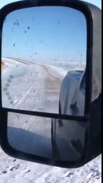 Un troupeau d'antilopes trace sur la route