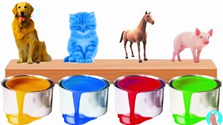 Bathing Colors Fun Farm Animals Johny Johny Yes Papa Nursery Rhyme Animation Rhymes & Songs