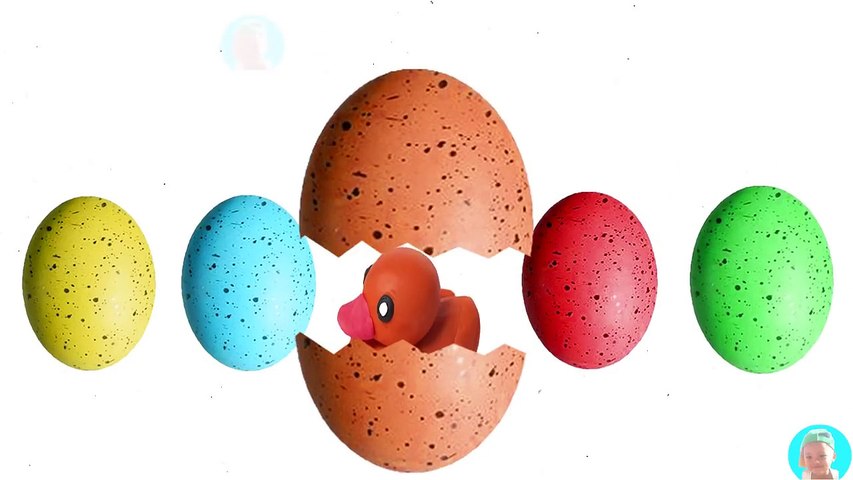 Super Surprise eggs learn colors with duck nursery rhymes for children