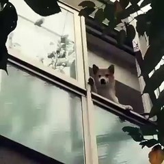 Bái bai sen :v đi làm vui vẻ nha :vHết tuần là hết tết rồi :v mấy sen chào tạm biệt từ từ là vừa nha :v