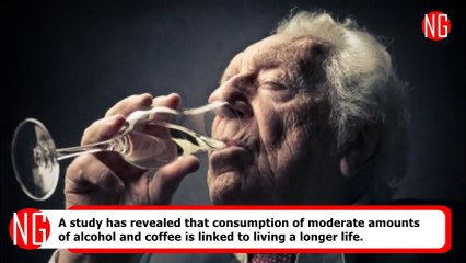 Study Reveals That Coffee & Alcohol Lengthen Your Life