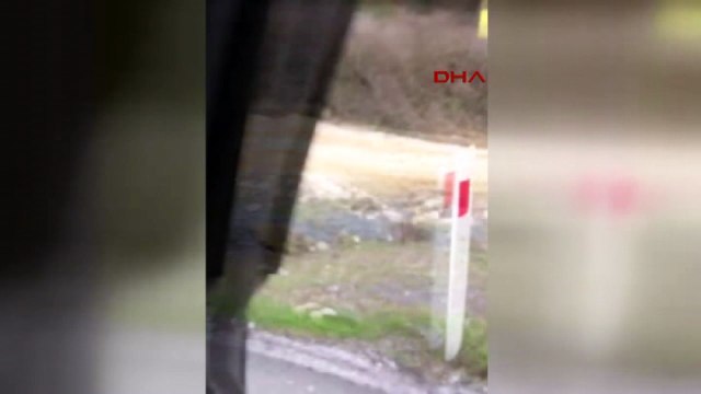 Köpeği, iple kamyonetin arkasına bağlayıp, sürükledi