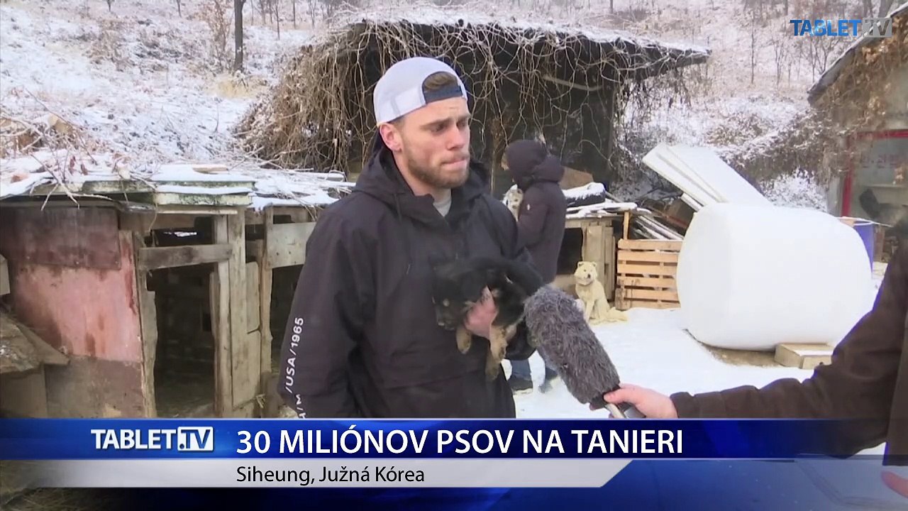 V Južnej Kórei skončí na tanieri 30 miliónov psov ročne