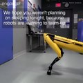 Boston Dynamics' SpotMini Robot