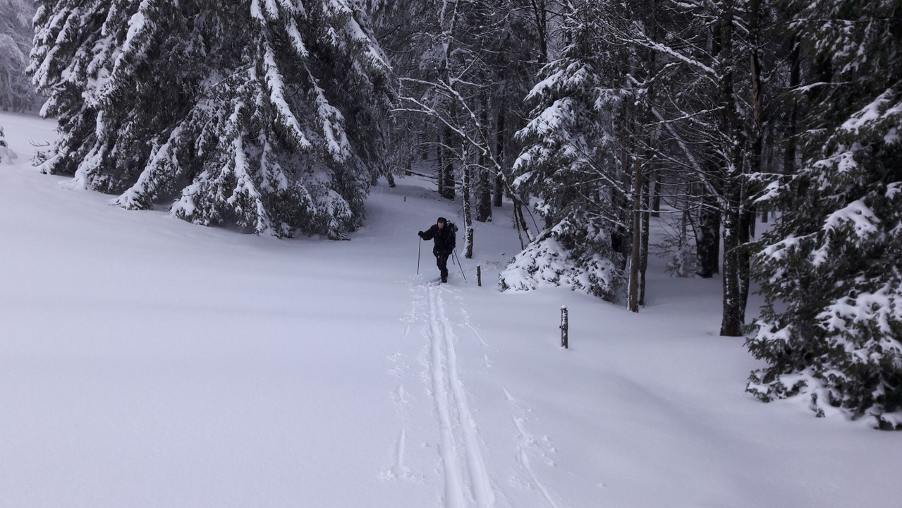 Ski de randonnée nordique dans les Hautes Vosges