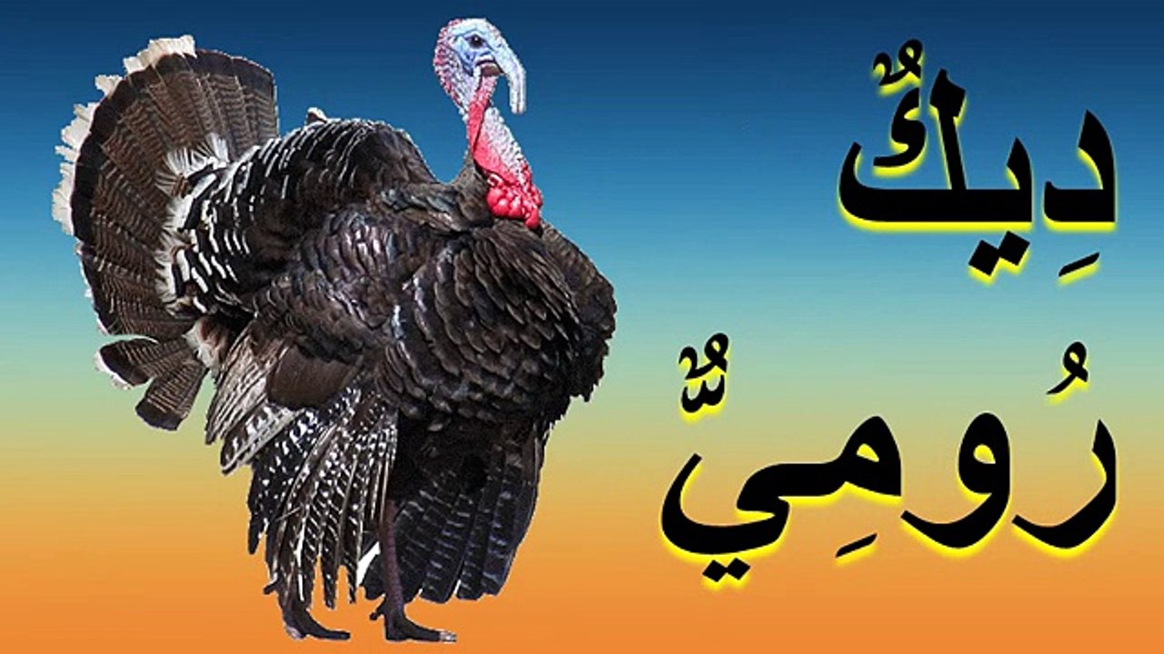 أصوات وأسماء الحيوانات