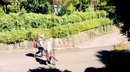 EDR July #38.1 (Good Mowing)