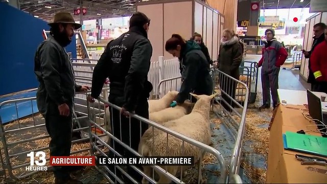 Salon de l'Agriculture : derniers préparatifs avant l'ouverture