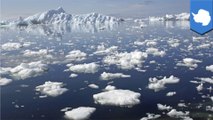 NASA study confirms Antarctica is losing ice fast