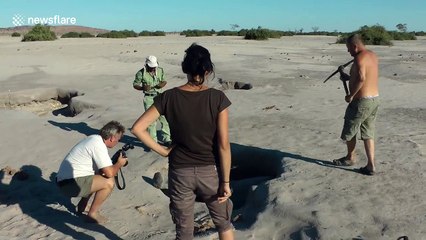 Tragic demise of baby elephant rescued by safari tourists