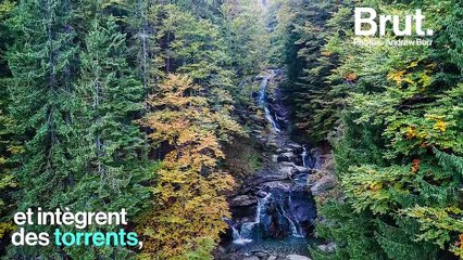 Balkans : le "cœur bleu de l'Europe" menacé par les barrages